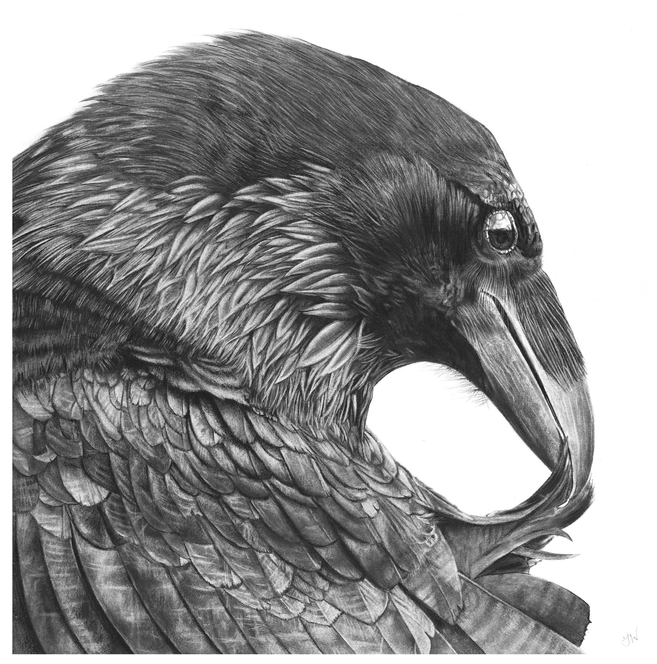 Preening Giclee Print Small